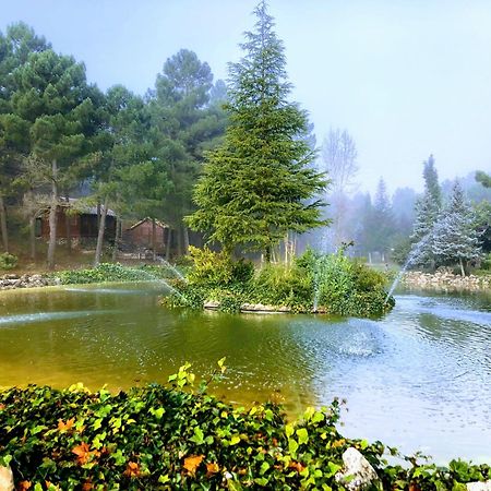 Chalet Esmeralda 3 D Y 2 Banos Zafiro Lagunazo Parque Natural Rio Mundo Riópar Екстериор снимка