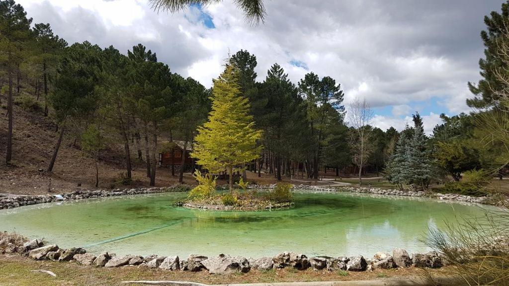 Chalet Esmeralda 3 D Y 2 Banos Zafiro Lagunazo Parque Natural Rio Mundo Riópar Екстериор снимка