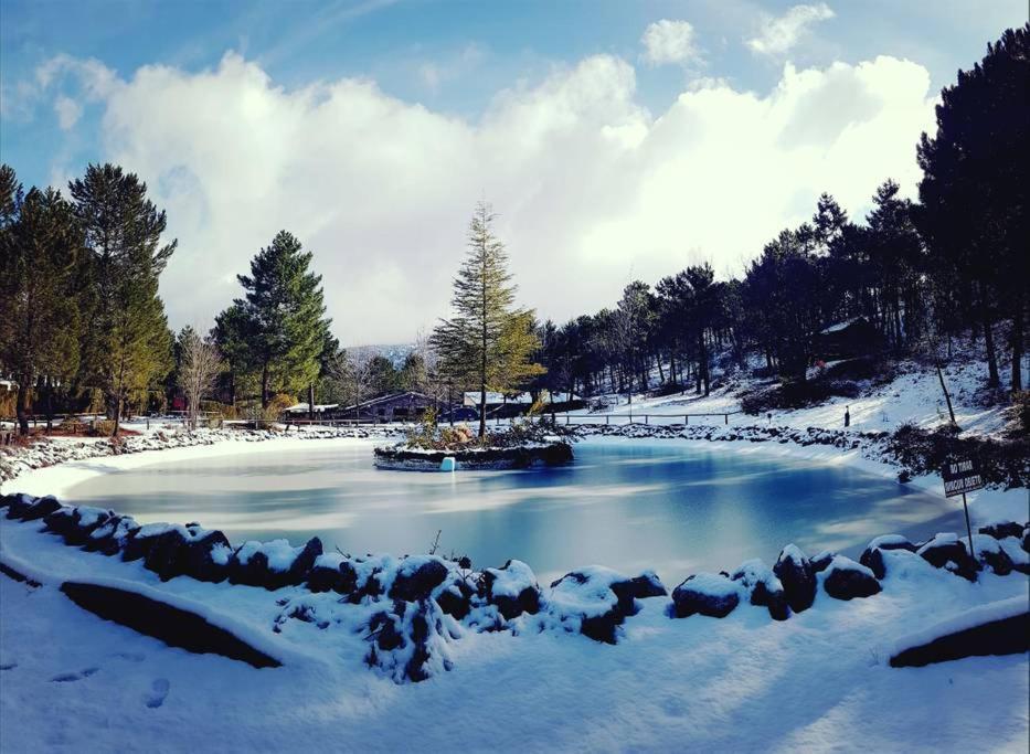 Chalet Esmeralda 3 D Y 2 Banos Zafiro Lagunazo Parque Natural Rio Mundo Riópar Екстериор снимка