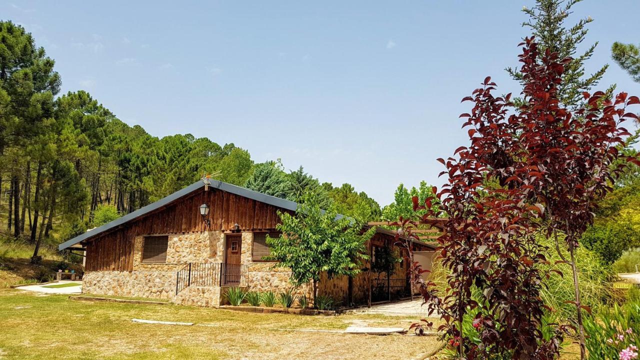 Chalet Esmeralda 3 D Y 2 Banos Zafiro Lagunazo Parque Natural Rio Mundo Riópar Екстериор снимка