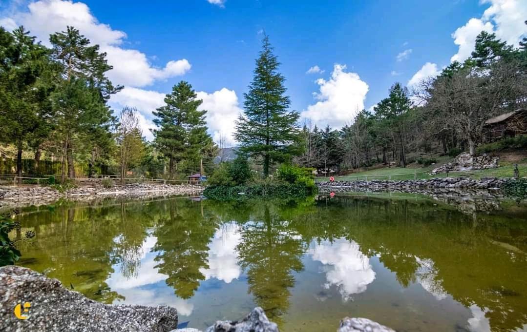 Chalet Esmeralda 3 D Y 2 Banos Zafiro Lagunazo Parque Natural Rio Mundo Riópar Екстериор снимка