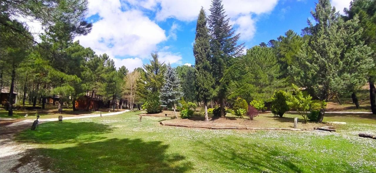 Chalet Esmeralda 3 D Y 2 Banos Zafiro Lagunazo Parque Natural Rio Mundo Riópar Екстериор снимка