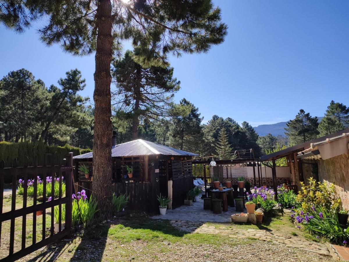 Chalet Esmeralda 3 D Y 2 Banos Zafiro Lagunazo Parque Natural Rio Mundo Riópar Екстериор снимка