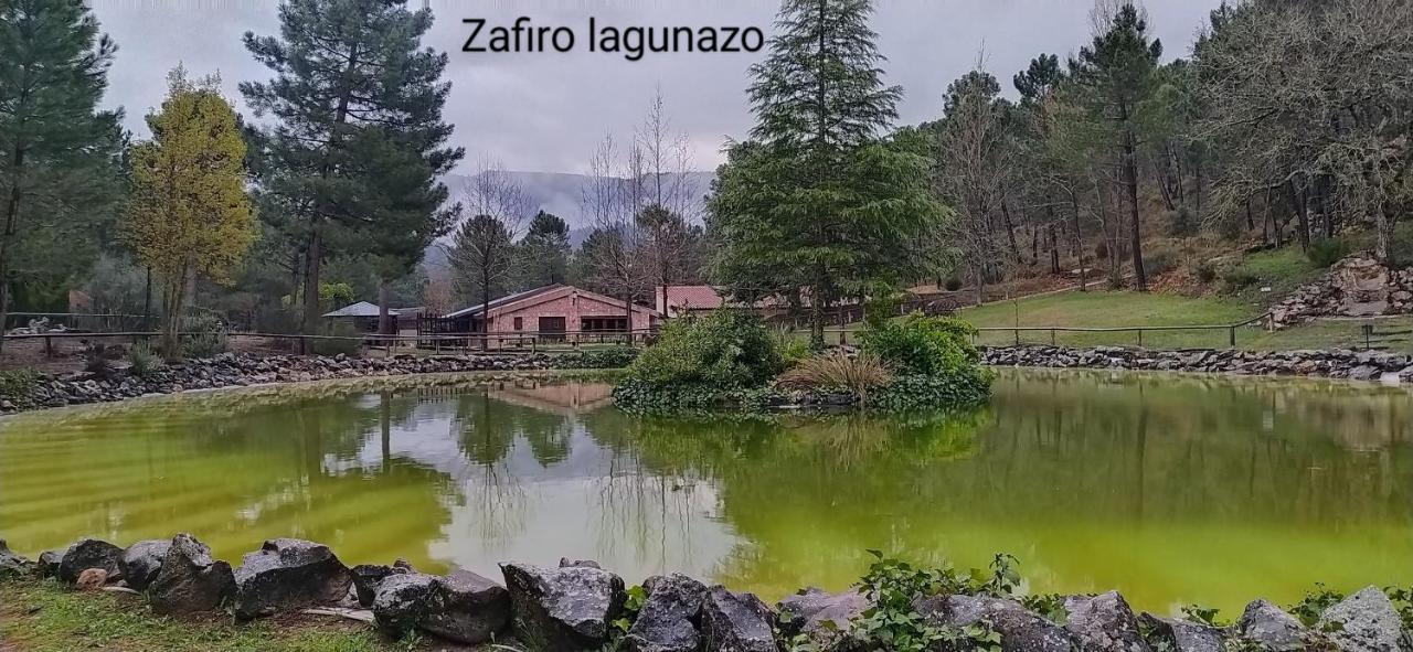 Chalet Esmeralda 3 D Y 2 Banos Zafiro Lagunazo Parque Natural Rio Mundo Riópar Екстериор снимка