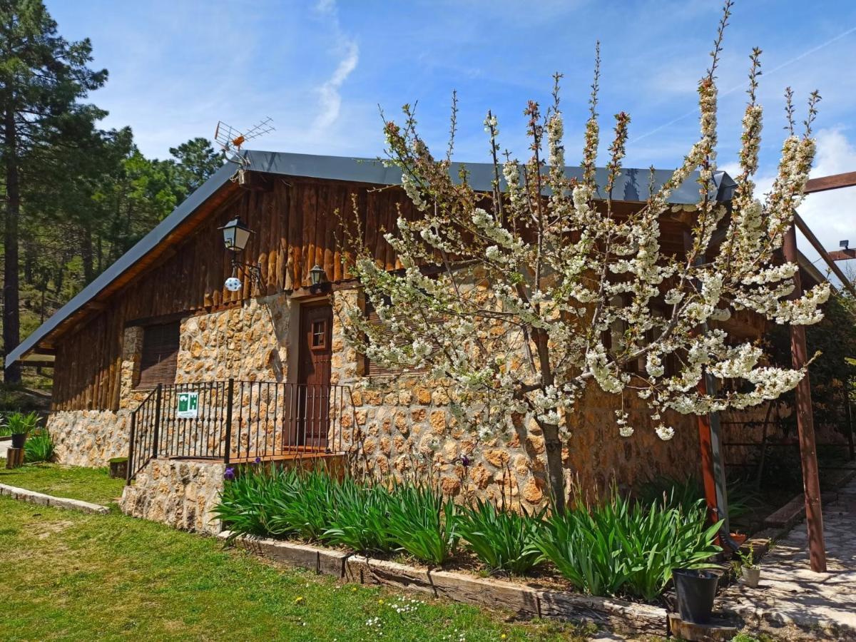 Chalet Esmeralda 3 D Y 2 Banos Zafiro Lagunazo Parque Natural Rio Mundo Riópar Екстериор снимка