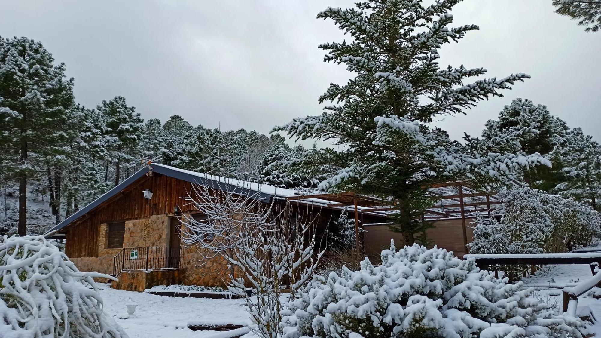 Chalet Esmeralda 3 D Y 2 Banos Zafiro Lagunazo Parque Natural Rio Mundo Riópar Екстериор снимка